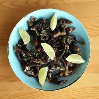 Percebes