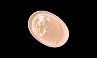 Aioli Sauce