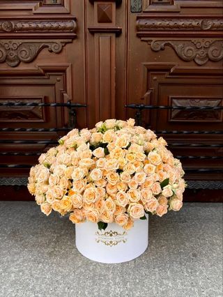 Pomarańczowa chmura