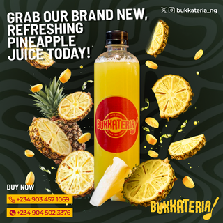 Pineapple Juice 500ml