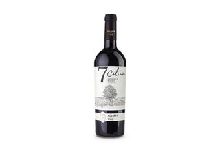 Vinaria din Vale, Saperavi&Malbec (7 Coline) roșu, sec 2022
