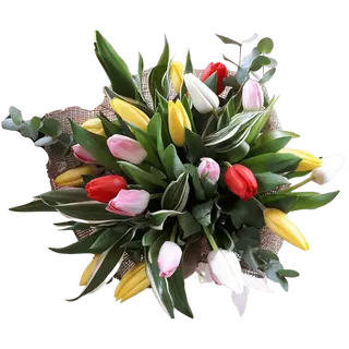 Mixed tulips