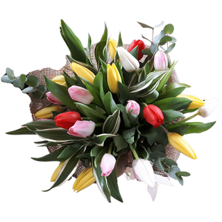 Mixed tulips