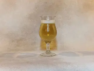 Lemoniada gazowana (330g)