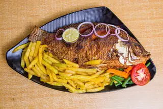 Fish