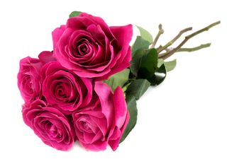 5 Рози,розови