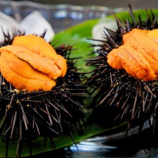 Uramaki ricci di mare 