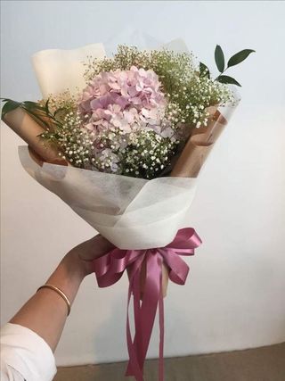 ჰორტენზია, გიფსოფილა, ევკალიპტი