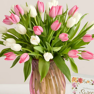 Bukiet biało różowych tulipanów 