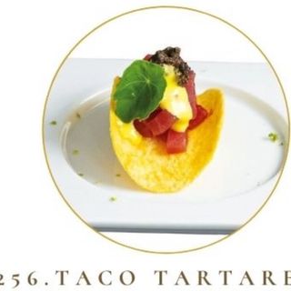 256 Taco tartare