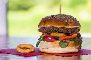 Burger Cebulowy szał 15cm