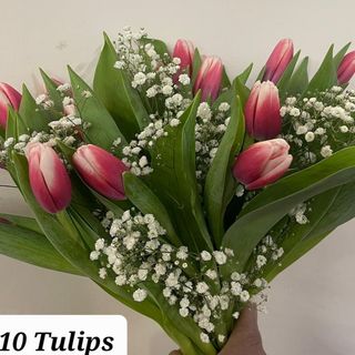Tulips B colour 