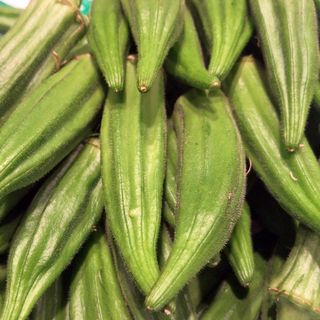 Okra