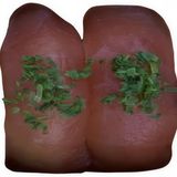 nigiri de atún (2 uds.)