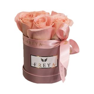 Cutie 5 trandafiri Hermosa