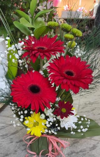 Голяма гъбка 3 Гербера