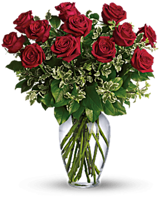 24 Red Rose Bouquet 
