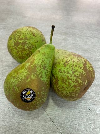 Pera Conferencia unid