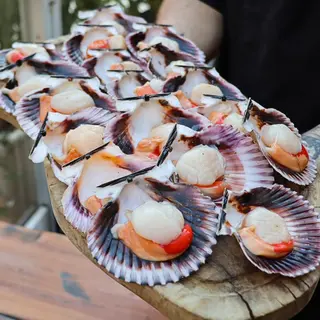 Zamburiña gallega plancha