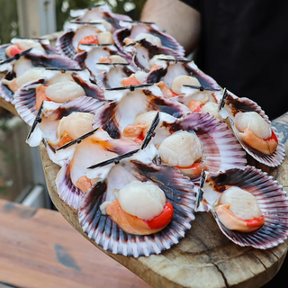 Zamburiña gallega plancha