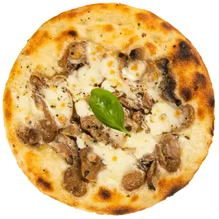 Champignon