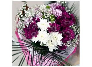 Букет от 5 хризантеми с богата зеленина и луксозна опаковка (1бр)