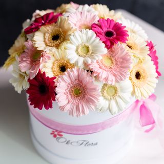 Cutie Mare cu Gherbere Mix Roz