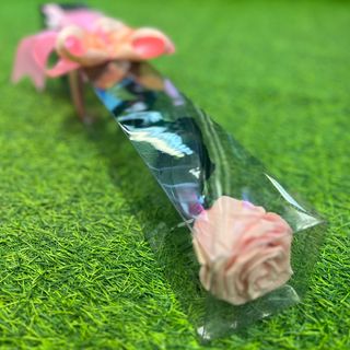 Wieczna róża różowa 