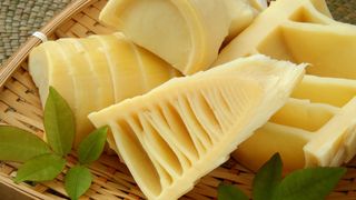 Takenoko no tsukemono