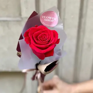 The Rose