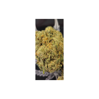 CBD Cvijet Purple Berry,5g