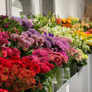 Bukiet kwiatów mieszanych XL