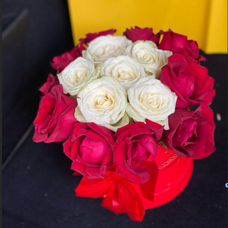 Classic Elegance Box