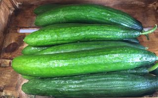 Краставица