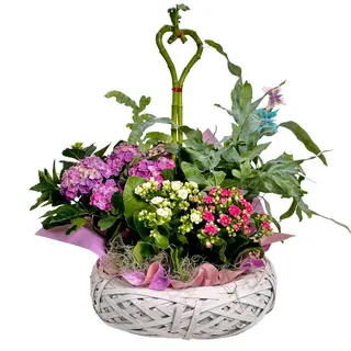 Cos cu 4 plante