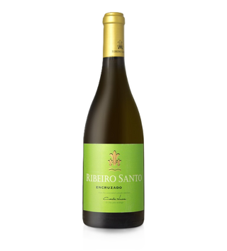 Ribeiro Santo Encruzado