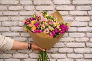 ალსტრომერიის თაიგული 15 ტოტი