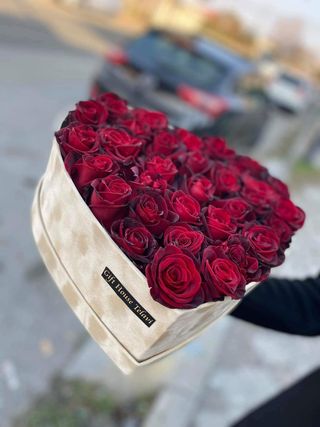 თაიგული 23