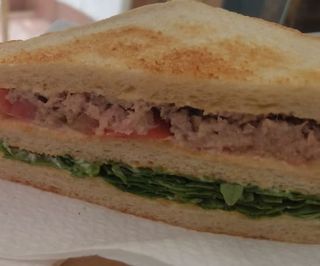 Sandwich al tonno