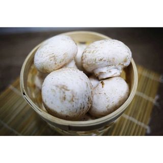 Tawa Matter Mushroom