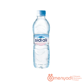SIDI ALI