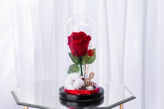 Trandafir cupola mediiu