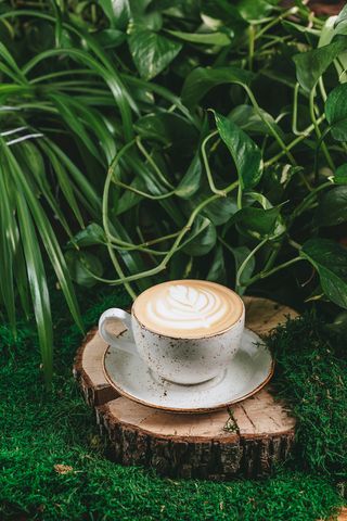 КАПУЧИНО НА АЛЬТЕРНАТИВНОМ МОЛОКЕ  (200 мл.)