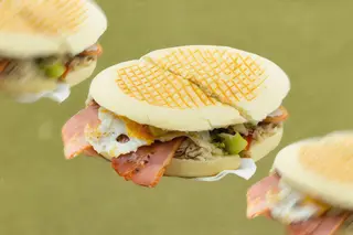 Campero Dylan