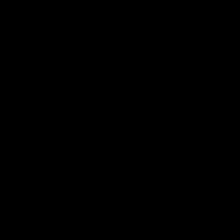 Pržene lignje sa povrćem