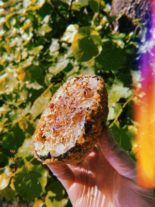 Sushi Burger Vege tofu