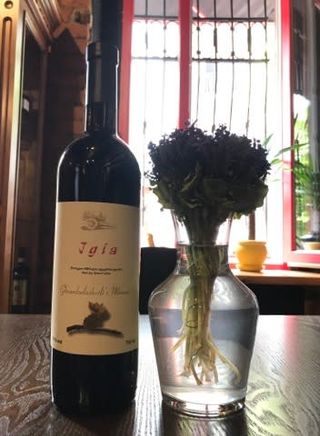 Ghvardzelashvili's Marani - Jghia