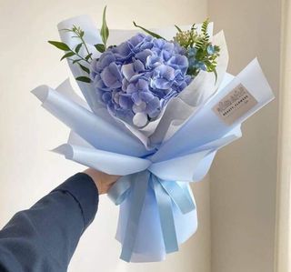 ჰორტენზია ევკალიპტი