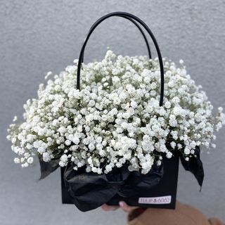 გიფსოფილა ყუთში 1040