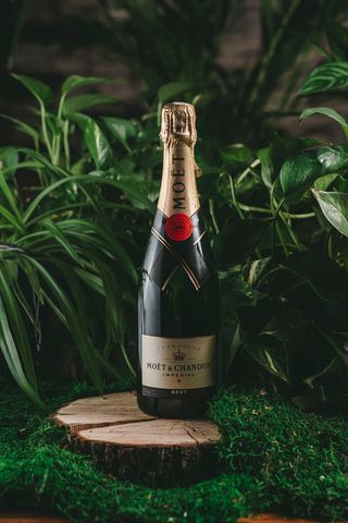 Santo Stefano Bianco